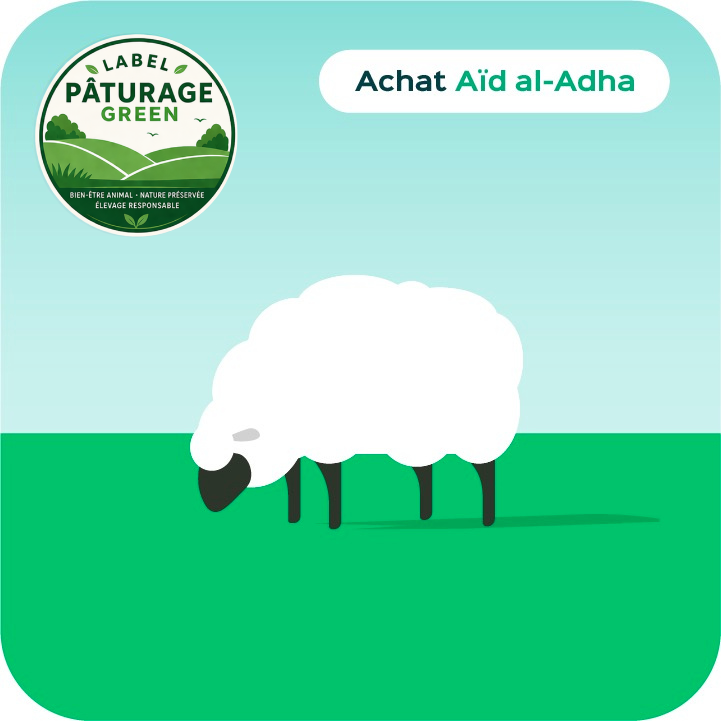 Aid el Adha 2026 - Achat Agneau Origin Green élevé en plein air. Aid el Adha 2026 - Achat Agneau Origin Green élevé en plein air.